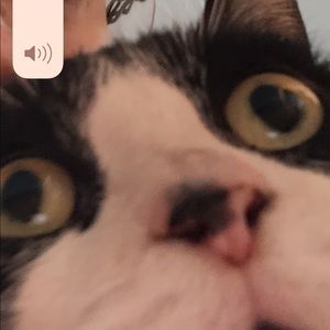 Meet your Posher, Karla